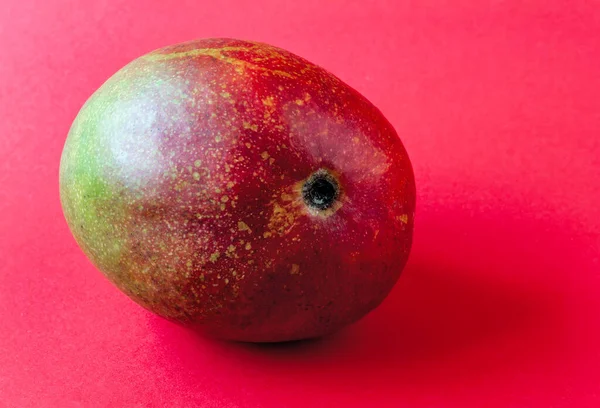 Zblízka Zralé Mango Ovoce Červeném Pozadí — Stock fotografie
