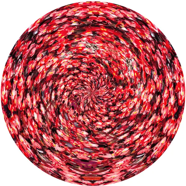 Ronde Gedraaide Achtergrond Van Roze Begonia Van Bovenaf Geïsoleerd — Stockfoto
