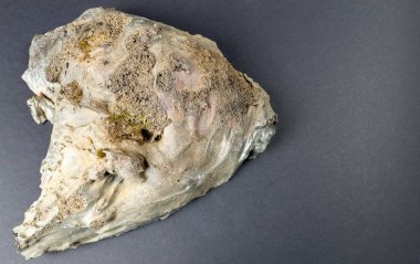 İzlanda 'nın gri arka planında oyulmuş volkanik taş dokusu.