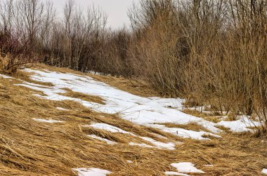 Yamaçtaki çalıların arasındaki eski çimlerin üzerinde bahar eriyip gidiyor.
