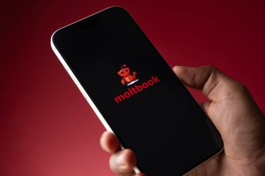 Moltbook logosu, Hindistan 'ın Bangalore kentindeki bir akıllı telefonun ekranında 4 Şubat 2026' da sergilenmektedir.