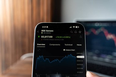 Bombay Menkul Kıymetler Borsası veya BSE logosu 12 Şubat 2026 'da Hindistan' ın Bangalore kentindeki bir akıllı telefonun ekranında sergilenmektedir.