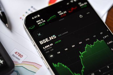 Bombay Menkul Kıymetler Borsası veya BSE logosu 12 Şubat 2026 'da Hindistan' ın Bangalore kentindeki bir akıllı telefonun ekranında sergilenmektedir.