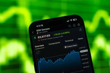 Bombay Menkul Kıymetler Borsası veya BSE logosu 12 Şubat 2026 'da Hindistan' ın Bangalore kentindeki bir akıllı telefonun ekranında sergilenmektedir.