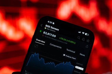 Bombay Menkul Kıymetler Borsası veya BSE logosu 12 Şubat 2026 'da Hindistan' ın Bangalore kentindeki bir akıllı telefonun ekranında sergilenmektedir.