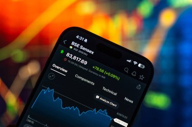 Bombay Menkul Kıymetler Borsası veya BSE logosu 12 Şubat 2026 'da Hindistan' ın Bangalore kentindeki bir akıllı telefonun ekranında sergilenmektedir.