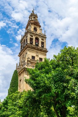 Crdoba Büyük Camii 'nin çan kulesi Mezquita de Crdoba desde el aire Crdoba İspanya