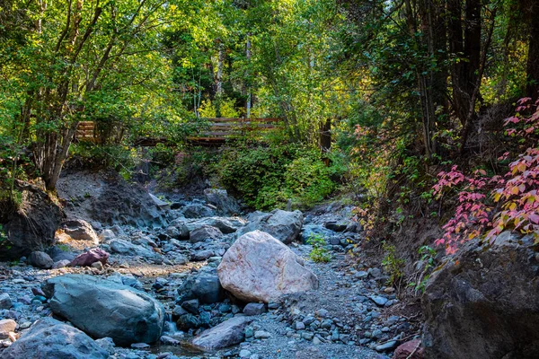 Colorado, Ouray 'daki Perimeter Patikası boyunca kurumuş bir nehir yatağının güzelliği