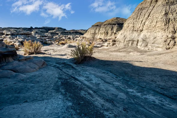 Sabah ışığı, Bisti Çorak Toprakları 'nın kaya oluşumlarının dokusunu ve detaylarını vurguluyor.