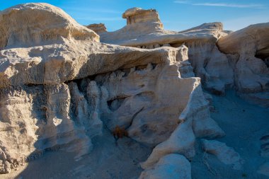 Çorak Topraklar 'da şekillendirilmiş doğanın karmaşık ve hassas ayrıntıları ortaya çıkıyor.