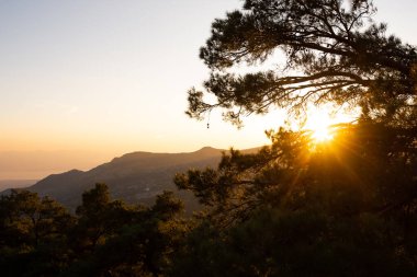 Kırsal alanlar ve günbatımı fotoğrafları