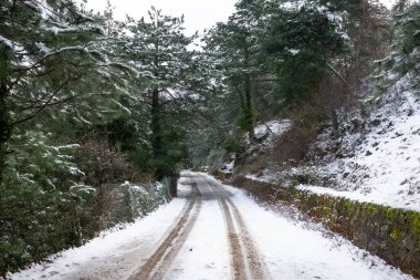 Kış manzarası. karlı orman ve kırsal bölgeler.