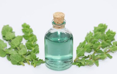 yabani bitkiler, şifalı bitkiler ve sebze yağları.