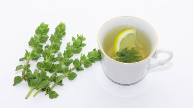 Doğal bitki çayları. kekik çayının fotoğrafları..