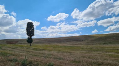 Kırsal alanlar ve bozkır fotoğrafları