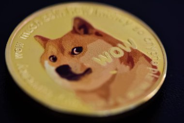Eylül 2021. Hindi. Sanal para fotoğrafları. dogecoin . Haber amaçlı bir fotoğraf.