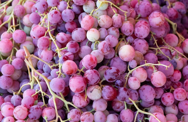 Photo Grapes Prepared Sale — Stock Photo, Image