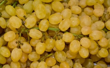 Olgun çekirdeksiz üzüm fotoğrafları..