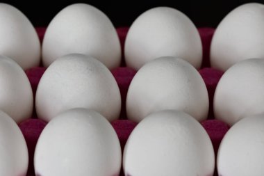 Siyah arka planda beyaz tavuk yumurtası..