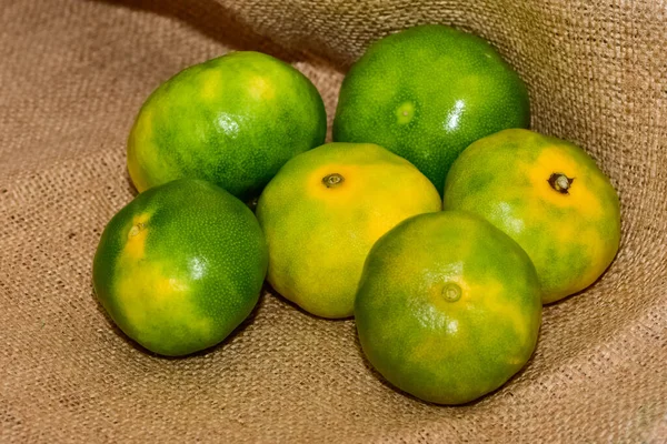 Fotos Tangerinas Maduras Tecido — Fotografia de Stock