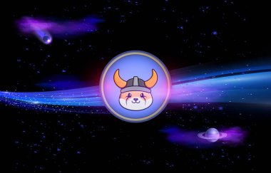 Dijital arka planda floki para sanal para birimi görüntüsü. 3d illüstrasyon.