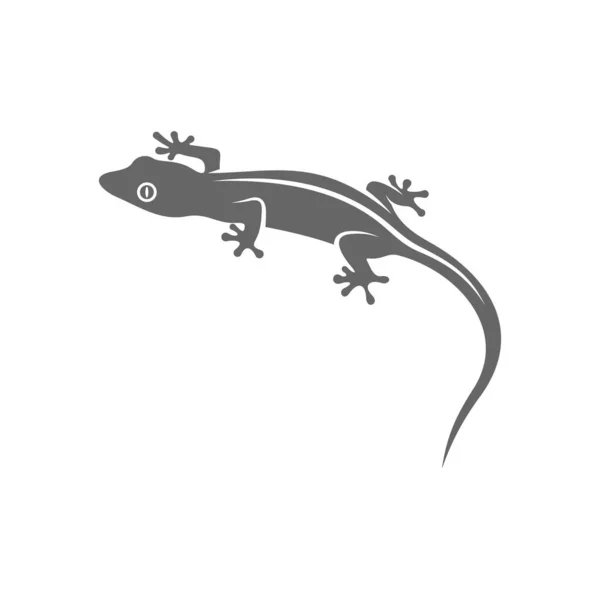 Modèle Vectoriel Conception Logo Lizard Illustration Design Lizard Icône Symbole — Image vectorielle