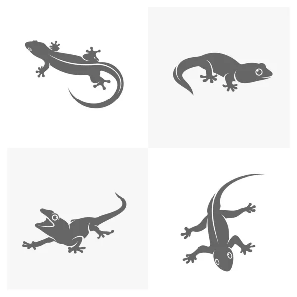 Zestaw Szablonów Wektorowych Logo Jaszczurki Projekt Ilustracji Jaszczurka Symbol Ikona — Wektor stockowy