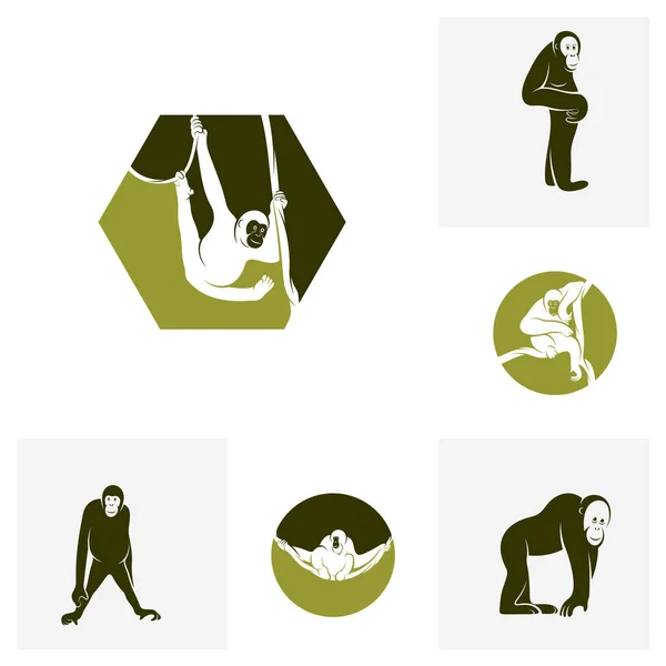 Set Van Orangutan Logo Ontwerp Vector Template Illustratie Ontwerp Orangutan — Stockvector