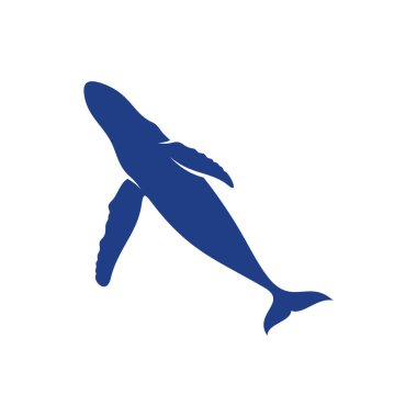 Balina tasarım vektörü, Yaratıcı Balina Çizim şablonu