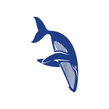 Balina tasarım vektörü, Yaratıcı Balina Çizim şablonu