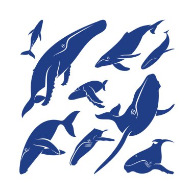 Balina tasarım vektörü kümesi, Yaratıcı Balina çizimi şablonu