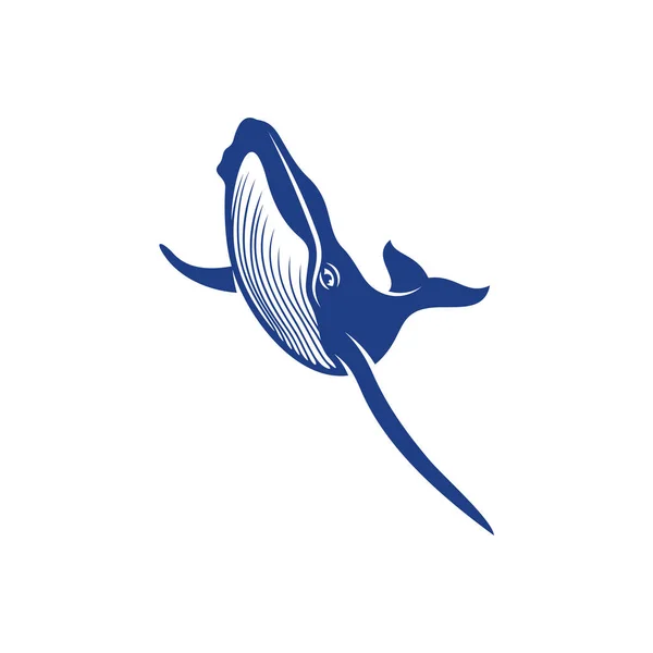 Вектор Дизайна Китов Creative Whale Иллюстрации Шаблон — стоковый вектор