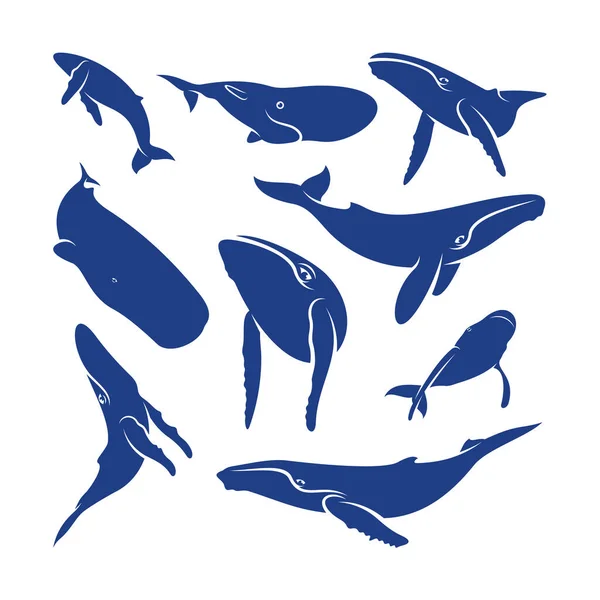 Sada Vektoru Pro Návrh Velryby Šablona Pro Ilustraci Kreativní Velryby — Stockový vektor