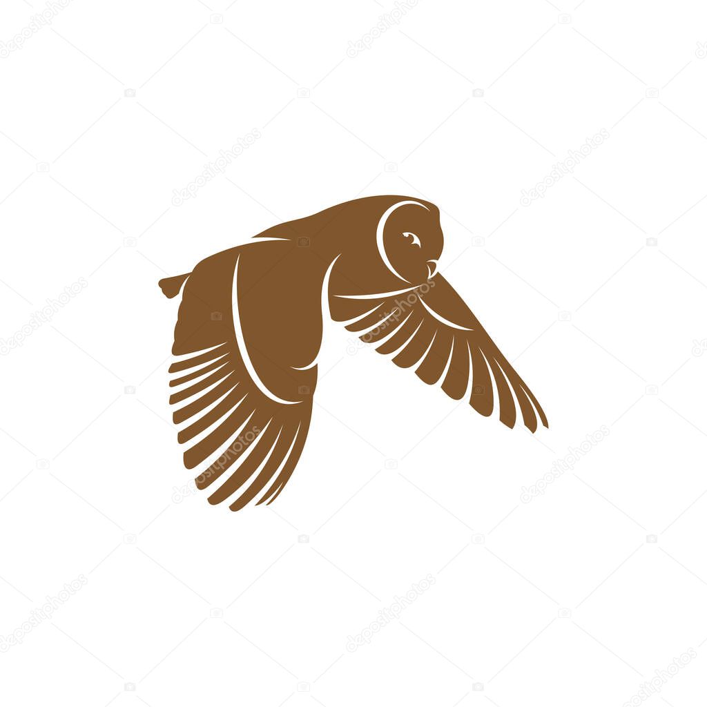 Owl logo vector template, Creative Owl logo design concepts, Illustration