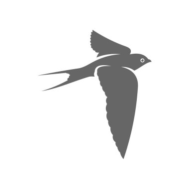 Swallow logo vektör şablonu, yaratıcı kırlangıç logosu tasarım konseptleri, simge sembolü, illüstrasyon