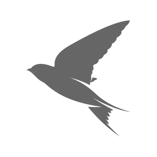 Проглотить Векторный Шаблон Логотипа Творческая Ласточка Концепции Дизайна Логотипа Символ — стоковый вектор