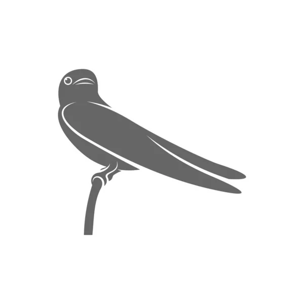 Swallow Logo Vector Template Creative Swallow Logo Design Concepts Icon — Stock Vector