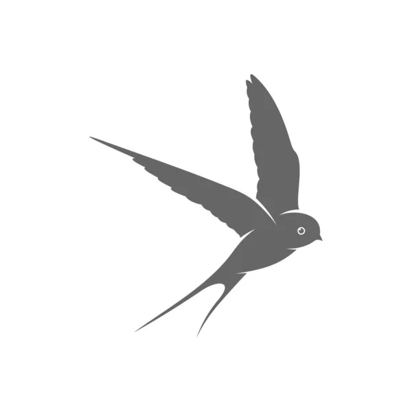 Swallow Λογότυπο Διάνυσμα Πρότυπο Creative Καταπιεί Έννοιες Σχεδιασμό Λογότυπο Σύμβολο — Διανυσματικό Αρχείο