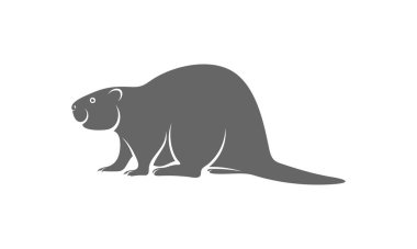 Kunduz logo vektörü, Yaratıcı Kunduz logosu tasarım konseptleri şablon, simge sembolü, illüstrasyon