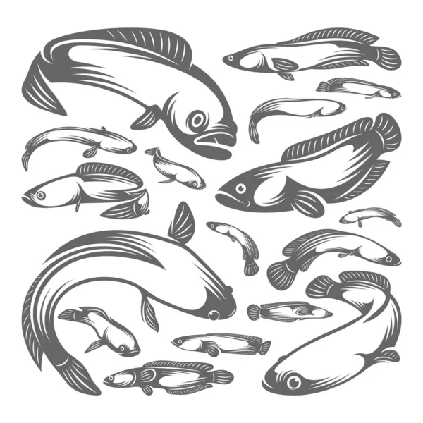 Sada Vektoru Loga Fish Cork Šablona Designu Loga Creative Fish — Stockový vektor