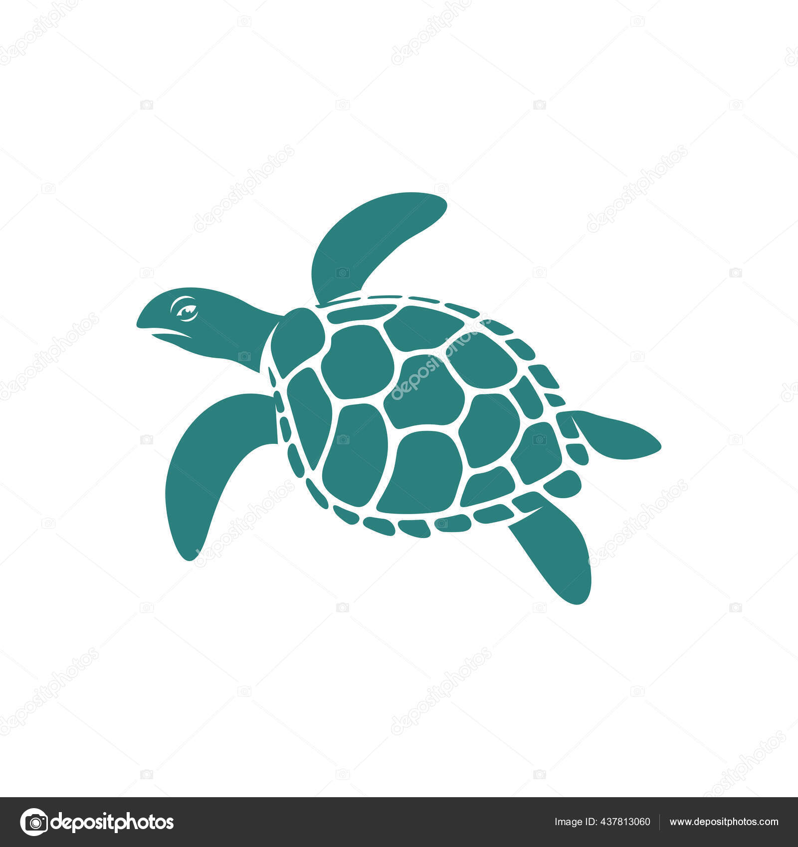 Дизайн Черепахи Векторная Иллюстрация Creative Turtle Шаблон.
