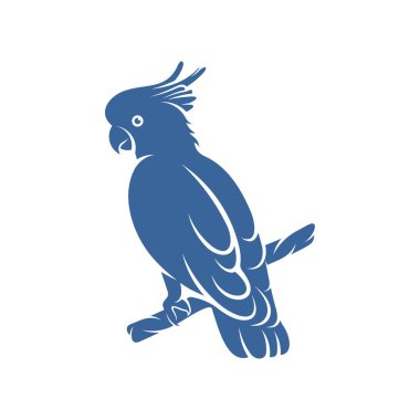 Kakadu Kuş tasarım vektör çizimi, Yaratıcı Papağan Kuş logosu tasarımı şablon, simge sembolleri