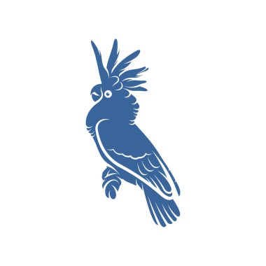 Kakadu Kuş tasarım vektör çizimi, Yaratıcı Papağan Kuş logosu tasarımı şablon, simge sembolleri