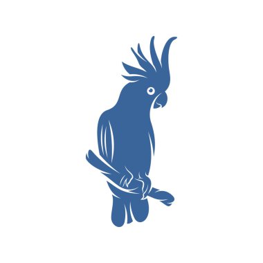 Kakadu Kuş tasarım vektör çizimi, Yaratıcı Papağan Kuş logosu tasarımı şablon, simge sembolleri