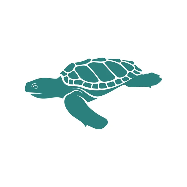 Želví Design Vektorové Ilustrace Creative Turtle Logo Design Koncepce Šablony — Stockový vektor