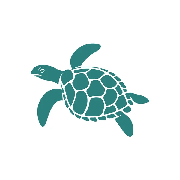 Želví Design Vektorové Ilustrace Creative Turtle Logo Design Koncepce Šablony — Stockový vektor