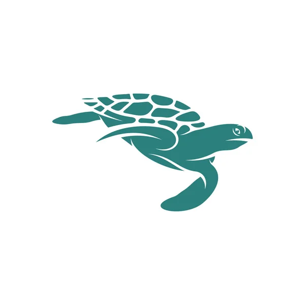 Turtle Design Vector Illustration Creative Turtle Logo Design Concepts Template — Stock Vector