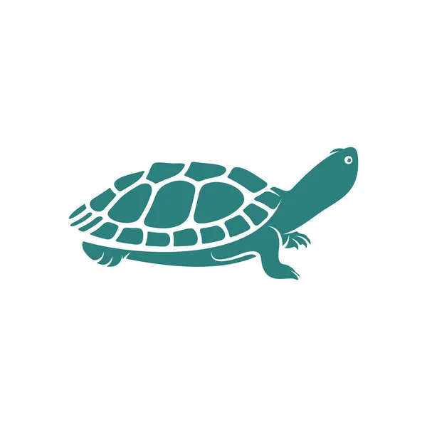 Ilustracja Wektora Projektu Żółwia Kreatywny Turtle Logo Koncepcji Szablon Symbol — Wektor stockowy