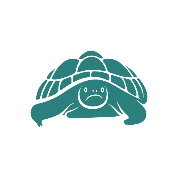 Illustration Vectorielle Conception Tortue Modèle Concepts Conception Logo Tortue Créative — Image vectorielle