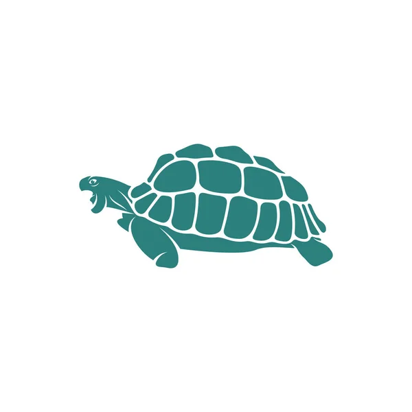 Želví Design Vektorové Ilustrace Creative Turtle Logo Design Koncepce Šablony — Stockový vektor